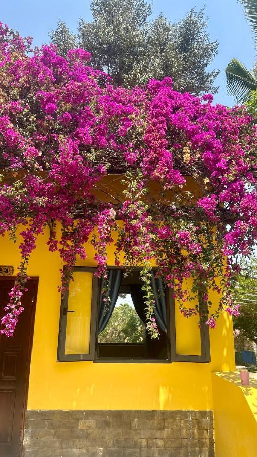 Bao Dien Guesthouse Bao Loc Εξωτερικό φωτογραφία